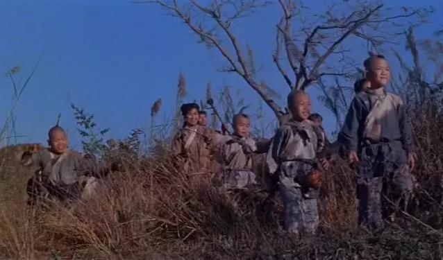武术电影生涯成就元彪在线观看_武术电影生涯成就元彪是谁_元彪的武术生涯与电影成就