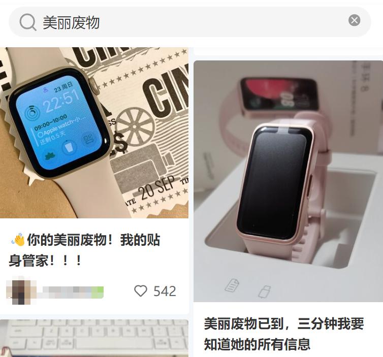 智能手表：美丽废物还是数码甜品？2023年市场趋势与消费者心理分析