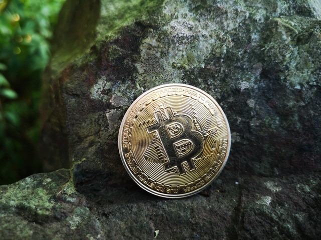 比特币传播的社会网络：影响其认知与接受度的载体_比特币实体载体_比特币的传输机制是什么