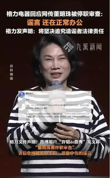 2016年格力电器议案未通过_董明珠遭停职审查，格力电器的应对举措及其对市场的启示_格力电器内部监督