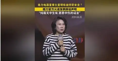 董明珠遭停职审查，格力电器的应对举措及其对市场的启示_2016年格力电器议案未通过_格力电器内部监督