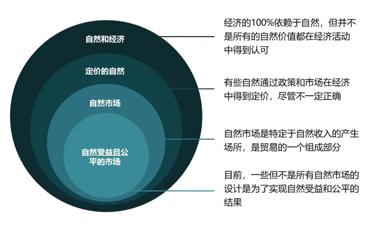 或将重构行业生态_USDT：重塑全球金融生态中的资产工具_重塑产业