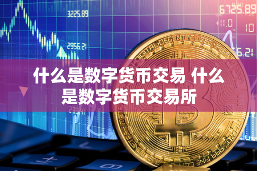 数字货币交易指南：了解中心化与去中心化交易的流程与区别