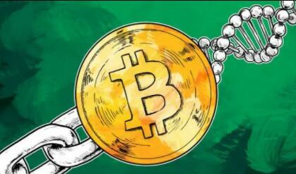 虚拟货币培养的社区文化：如何在数字经济中促成共享与合作_虚拟数字货币政策_虚拟数字货币研讨会