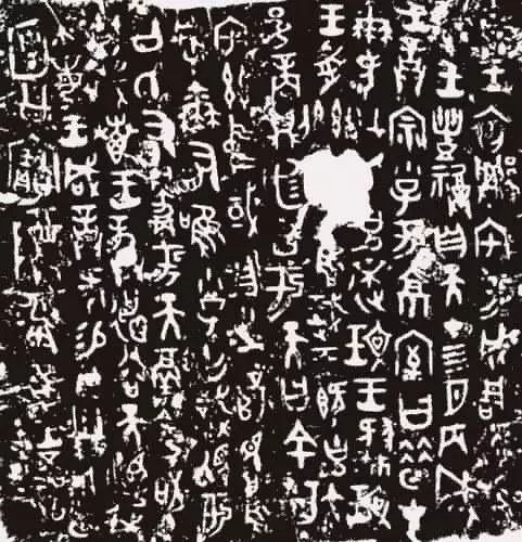张晋指导的电影_张晋在电影中的经典对话_张晋经典台词