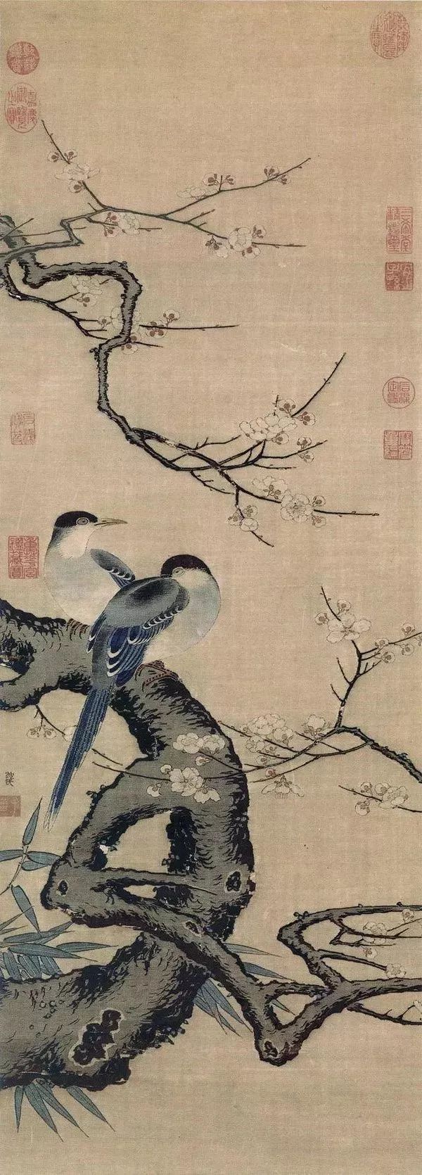 张晋在电影中的经典对话_张晋指导的电影_张晋经典台词