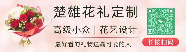 2025年楚雄市能否反超安宁市？结合两地经济状况深度剖析